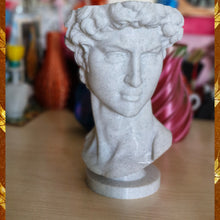 Olive & Latte 3d Print Art Michelangelo's David Portrait