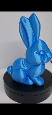 Olive and Latte 3d Print Art Large Size Rabbit